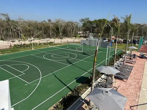 Cancha de usos múltiples rodeada de palmeras e iluminación integrada
